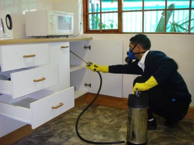 Карбофос від клопів: відгуки, де купити, як труїти Карбофос від клопів: відгуки, де купити, як труїти