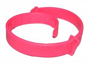 Нашийник від бліх: як діє, поради щодо вибору та застосування