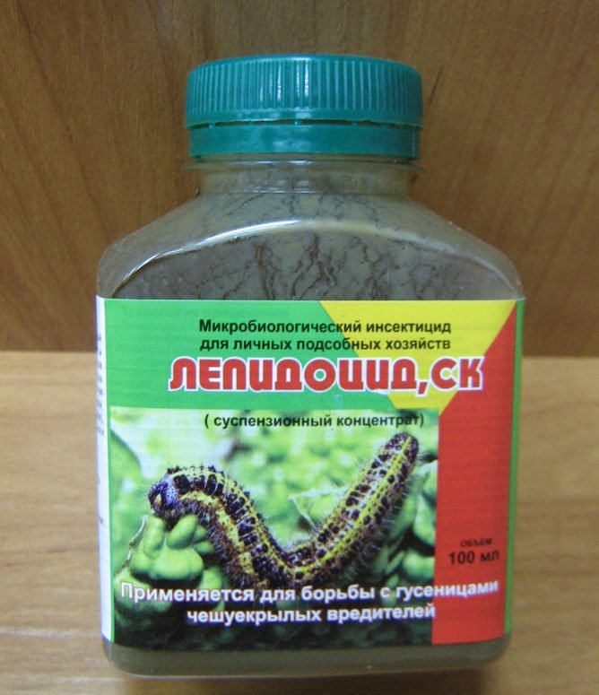 Картопляна міль і як з нею боротися