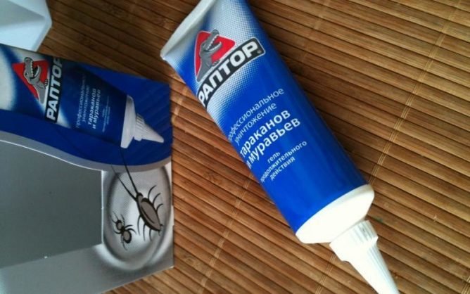 Раптор від тарганів — огляд пасток і засобів