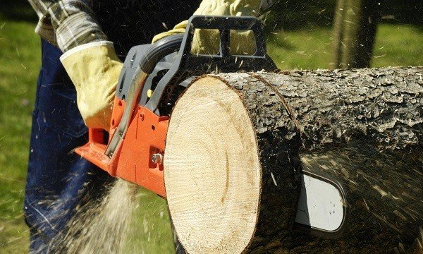 Різновиди обробки дерева