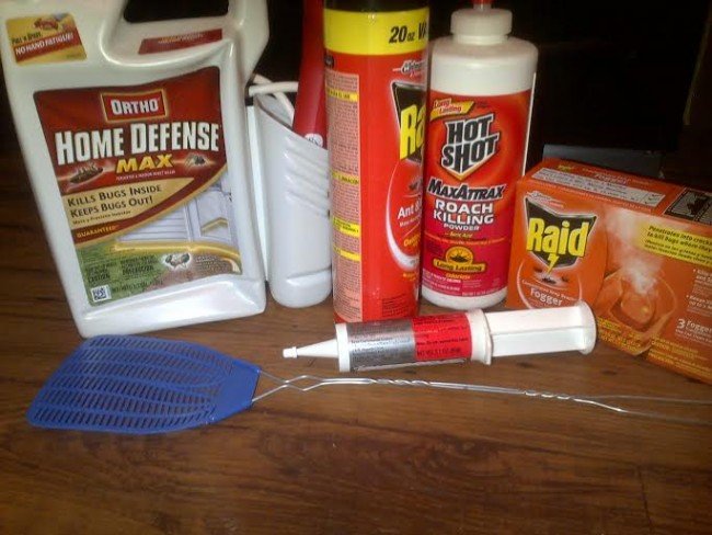 Гель від тарганів – найефективніший засіб проти комах