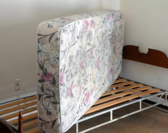 Як вивести клопів з квартири самостійно: Скажи «ні» шкідників