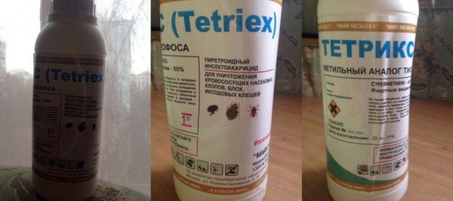 Як позбутися від домашніх клопів: кращі хімічні препарати