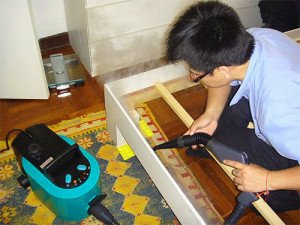 При якій температурі гинуть клопи: боротьба з допомогою пари і мороза При якій температурі гинуть клопи: боротьба з допомогою пари і мороза