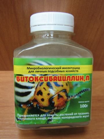 Заходи боротьби з луговим метеликом: як знищити ворога