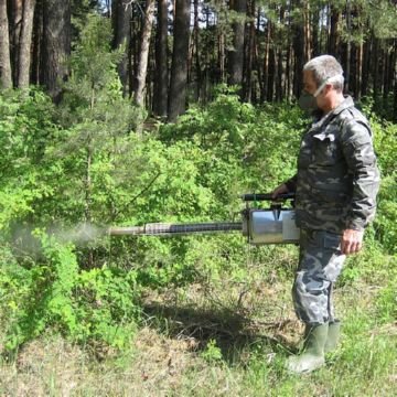 Кліщовий дерматит   симптоми і лікування у дітей та дорослих