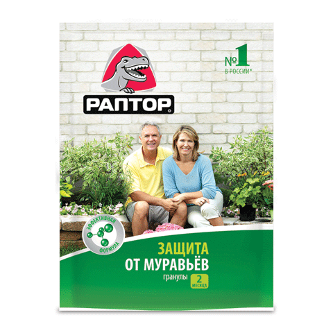 «Раптор» в боротьбі проти молі, тарганів, клопів, мурах та мух