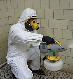 Обробка від клопів: самостійна і професійна