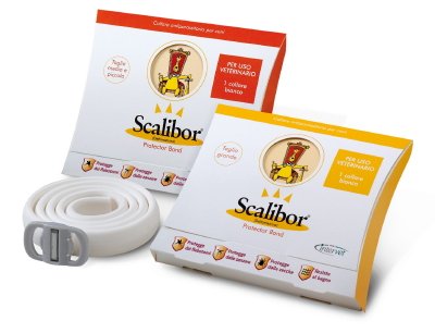 Нашийник від бліх для кішок і собак – огляд кращих пропозицій