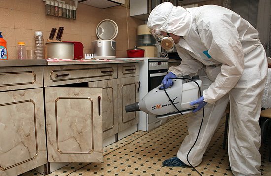 Відгуки про знищення клопів холодним туманом