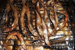 Коптильня з бочки: необхідні матеріали та інструкція по виготовленню своїми руками