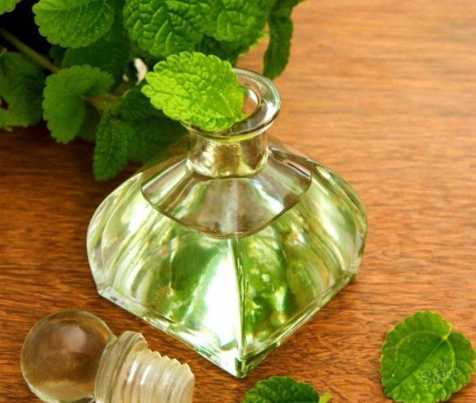 Список народних засобів для боротьби з домашніми клопами