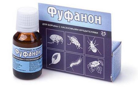 Кошти від клопів без запаху: огляд найбільш популярних препаратів