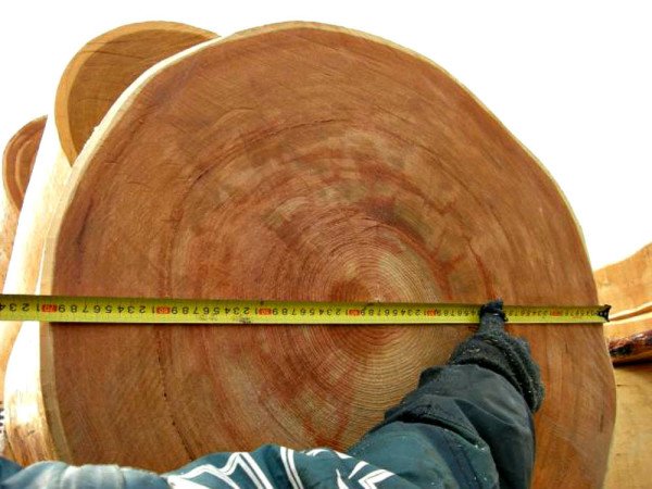 Будівництво будинку з колод великого діаметра