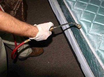 Потруїти клопів у квартирі можливо чи ні? Правила і рекомендації у боротьбі з клопами