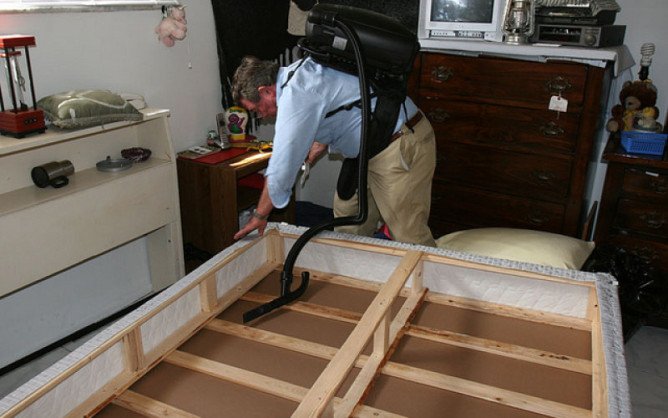 Як знищити постільних клопів: способи і методи боротьби в домашніх умовах Як знищити постільних клопів: способи і методи боротьби в домашніх умовах