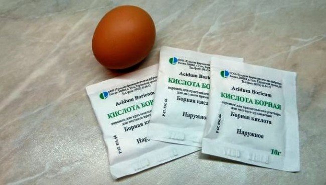 Як позбутися від тарганів в домашніх умовах швидко і ефективно