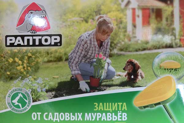 Пастка для мурашок своїми руками відео