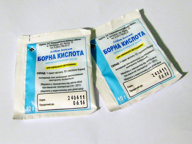 Як вивести тарганів з квартири назавжди — Найкращі методи