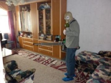 Знищення клопів гарячим туманом: переваги процедури, технологія, відгуки