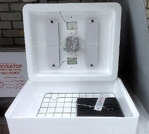 Інкубатор «Несучка»: опис і пристрій, технічні характеристики