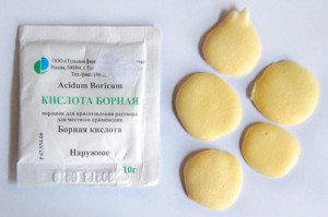 Народний засіб від тарганів: позбутися від прусаків в квартирі