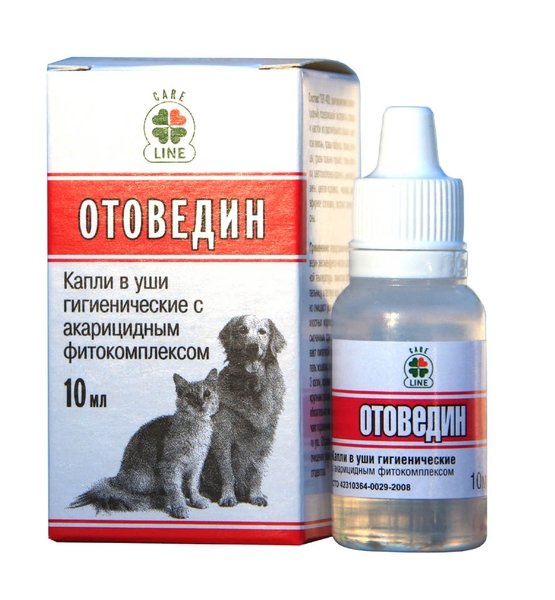 Вушний кліщ у собак   чим небезпечне захворювання і як його лікувати