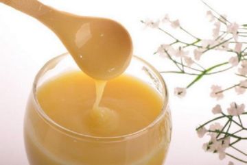 Домашні бджоли – тварини, що створюють гармонію