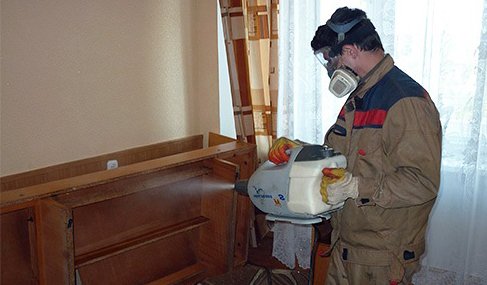 Відгуки про знищення клопів холодним туманом