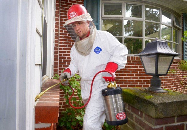 Цькування клопів — Виходимо на стежку війни і перемагаємо!