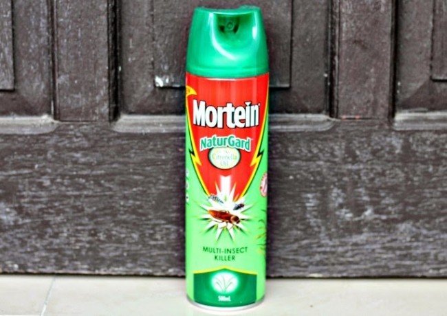 Як вивести тарганів з квартири назавжди — Найкращі методи