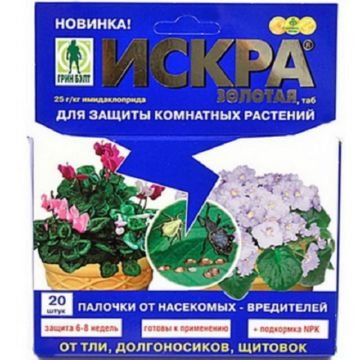 Росткова муха   частий гість на помідорах і огірках