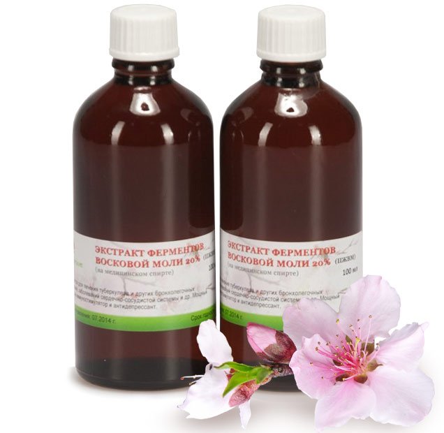 Воскова міль: народні рецепти приготування настоянки