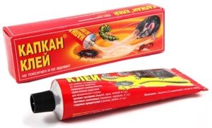 Пастки для клопів: клей, липка стрічка, саморобні пастки