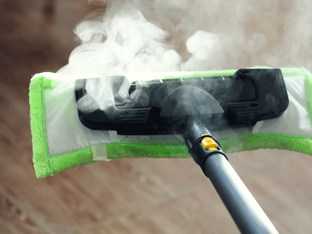 Виведення клопів — Як ефективно очистити будинок від паразитів !?