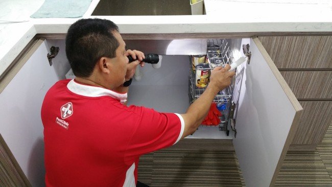 Домашні таргани й ефективні методи боротьби з ними