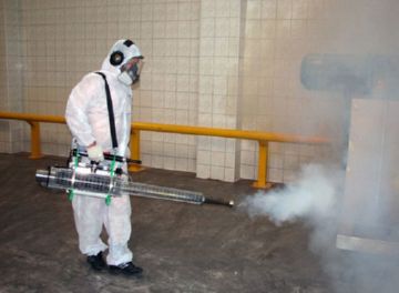 Рисовий довгоносик: опис, шкоду і заходи боротьби Рисовий довгоносик: опис, шкоду і заходи боротьби