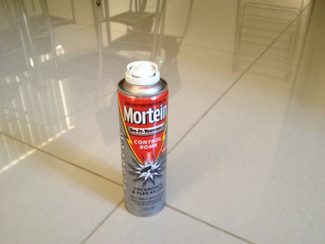 Як швидко позбутися від клопів — Найкращі поради