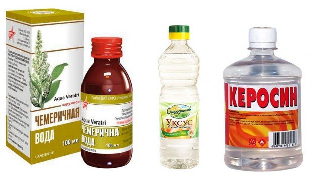 Воші у дітей: Лікування в домашніх умовах — позбавляємося Назавжди