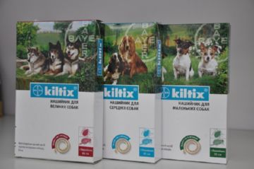Що таке нашийник від бліх для собак і допомагає він позбутися від паразитів