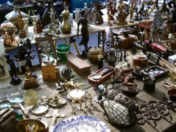 10 найцікавіших фактів про бліх