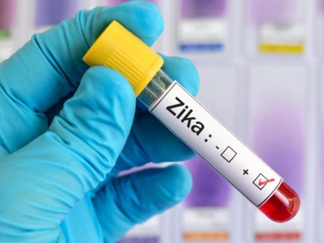 В яких країнах можна зустріти комара Зіку