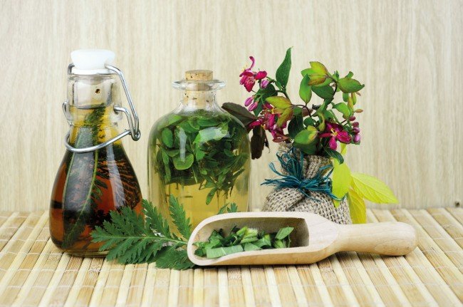 Як швидко позбутися від клопів — Найкращі поради