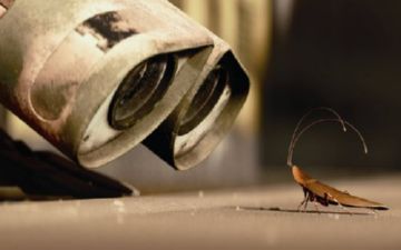 мифы о тараканах