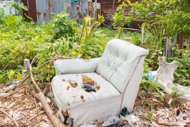 Укуси постільних клопів — Як виглядають і чим лікувати (фото)