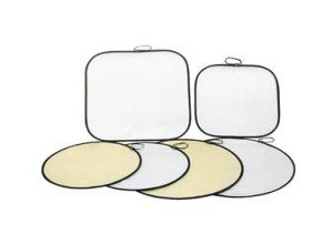 Як і чим підсвічувати розсаду петунії: види освітлювальних ламп та короткий огляд їх характеристик