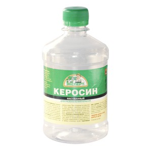 Народні засоби від бліх: чого бояться блохи в квартирі