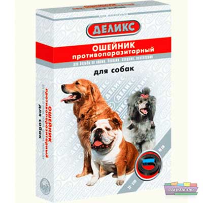 Волосоїди у собак – фото, симптоми і лікування Волосоїди у собак – фото, симптоми і лікування