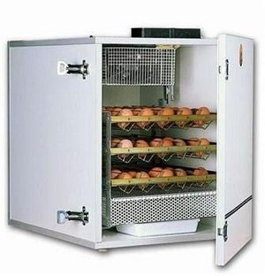 Навіщо потрібен інкубатор для яєць: правила виведення курчат, оптимальний режим і фото